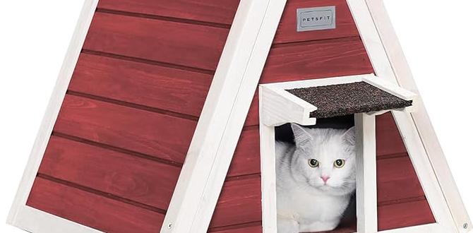 outdoor cat house for indoor cats outdoor cat house for indoor cats