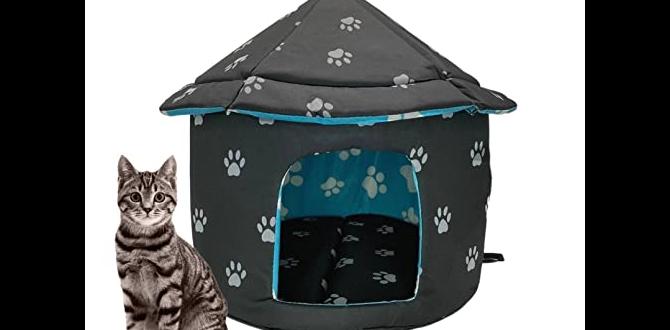 outdoor cat house for strays outdoor cat house for strays
