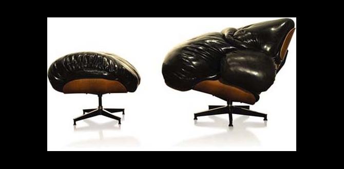 outdoor chairs for obese outdoor chairs for obese