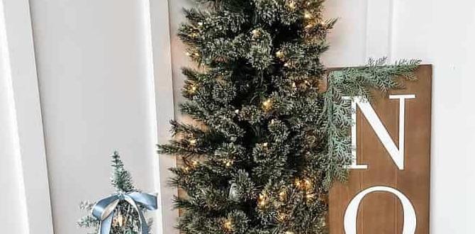 outdoor christmas tree for front porch outdoor christmas tree for front porch