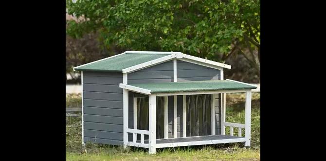 outdoor dog house for 2 dogs outdoor dog house for 2 dogs