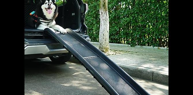 outdoor dog ramp for deck outdoor dog ramp for deck