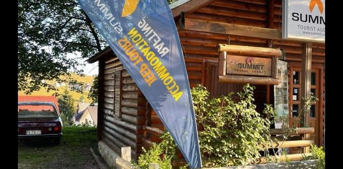 outdoor flags for business outdoor flags for business