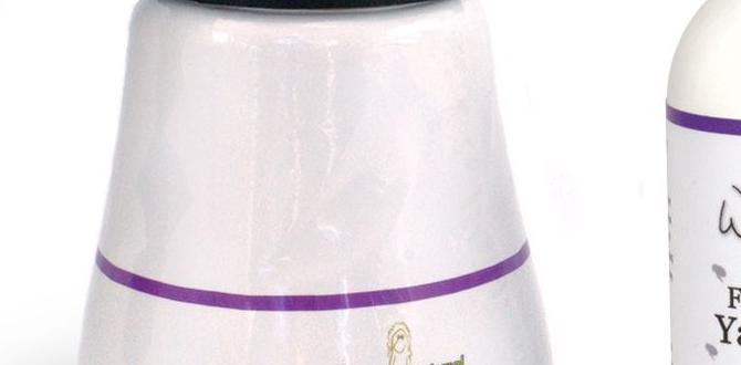 outdoor flea spray safe for pets outdoor flea spray safe for pets