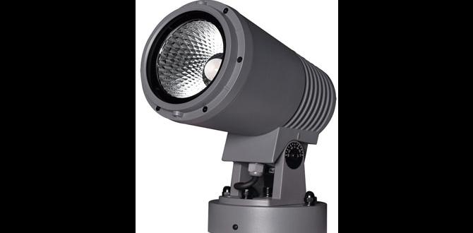 outdoor focus lights for home outdoor focus lights for home