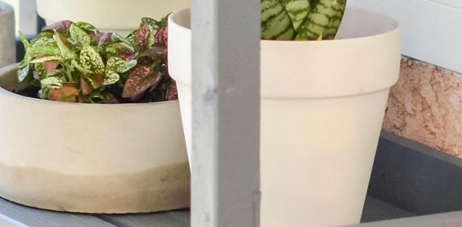 outdoor garden shelves for plants outdoor garden shelves for plants