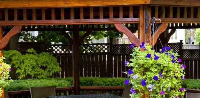 outdoor gazebo for patio outdoor gazebo for patio