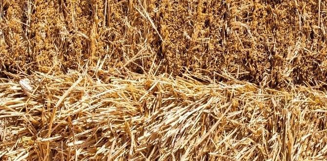 outdoor hay feeder for horses outdoor hay feeder for horses