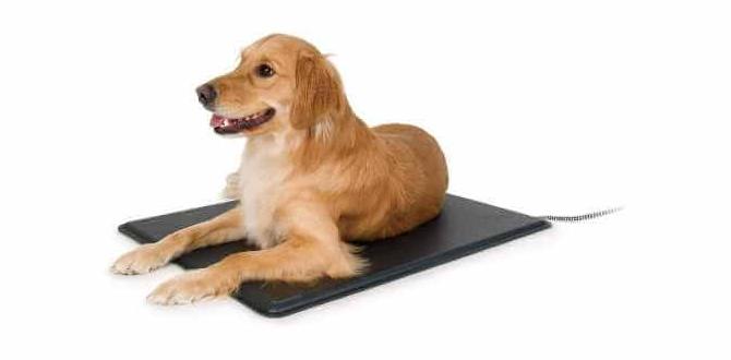 outdoor heated pad for dogs
