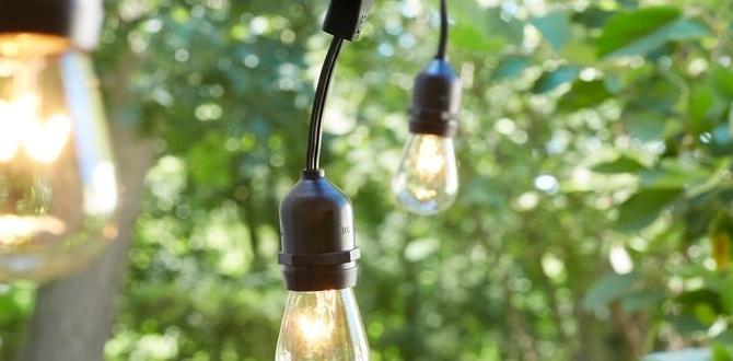 outdoor hooks for string lights home depot outdoor hooks for string lights home depot