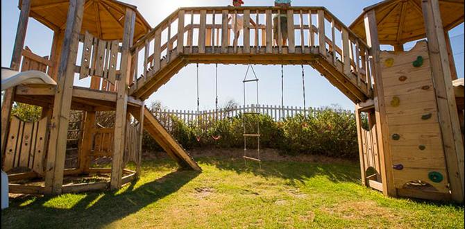 outdoor jungle gym for adults outdoor jungle gym for adults