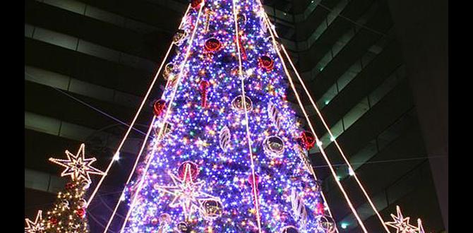 outdoor lighted trees for christmas