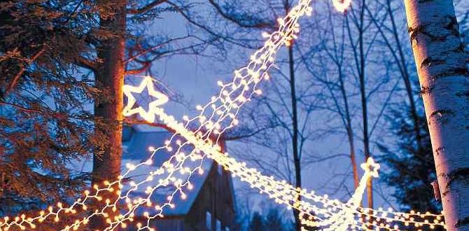 outdoor lighting for christmas outdoor lighting for christmas