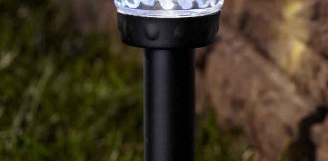 outdoor lights for houses outdoor lights for houses