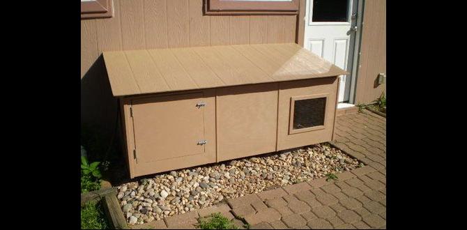 outdoor litter box for indoor cats outdoor litter box for indoor cats