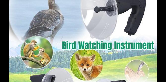 outdoor microphone for birds outdoor microphone for birds