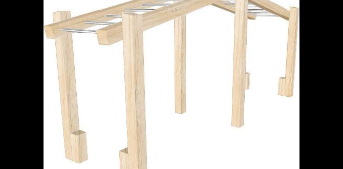 outdoor monkey bars for adults outdoor monkey bars for adults