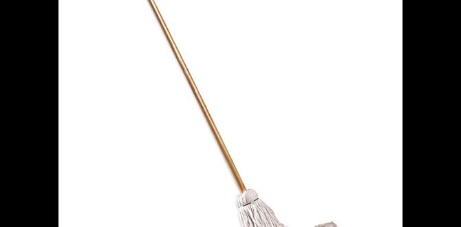 outdoor mop for deck
