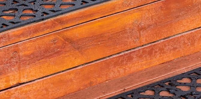 outdoor non slip stair treads for concrete steps outdoor non slip stair treads for concrete steps