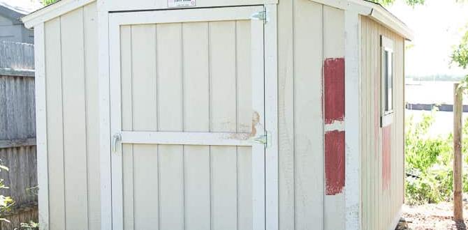 outdoor paint for shed