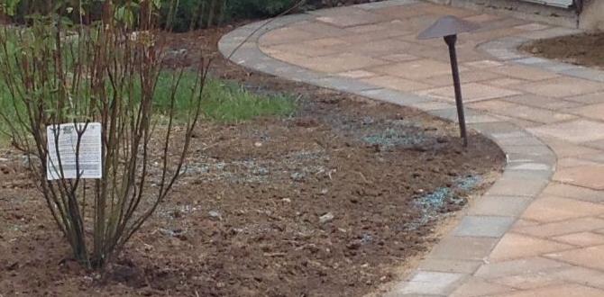 outdoor pavers for walkway outdoor pavers for walkway