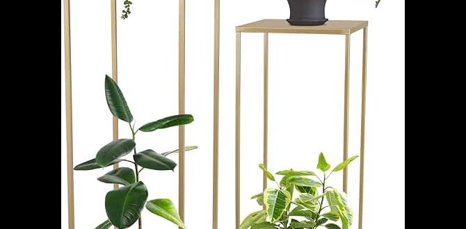 outdoor pedestals for plants outdoor pedestals for plants