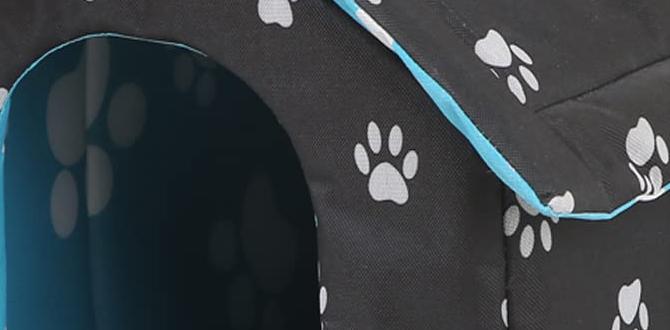 outdoor pet houses for cats outdoor pet houses for cats