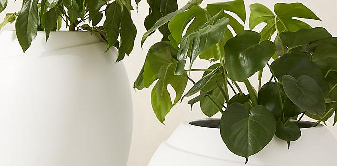 outdoor planters for vegetables outdoor planters for vegetables