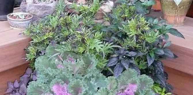 outdoor plants for colorado