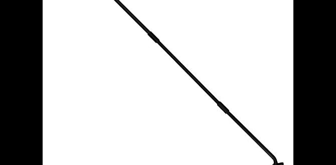 outdoor pole for hanging plants