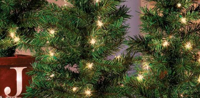 outdoor porch trees for christmas outdoor porch trees for christmas