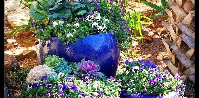 outdoor potted plants for arizona outdoor potted plants for arizona