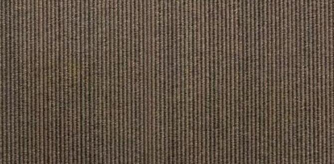 outdoor roller shades for patio outdoor roller shades for patio