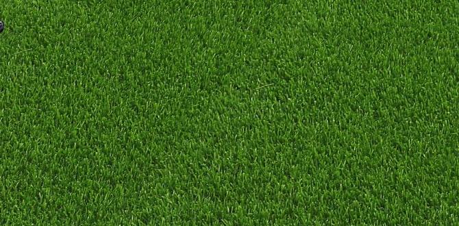 outdoor rug for grass outdoor rug for grass