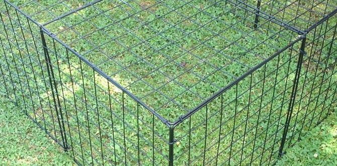 outdoor runs for guinea pigs outdoor runs for guinea pigs