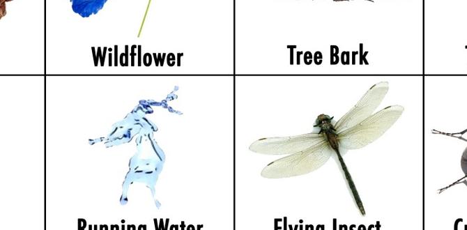 outdoor scavenger hunt ideas for adults