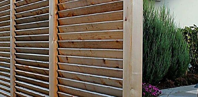 outdoor screens for privacy