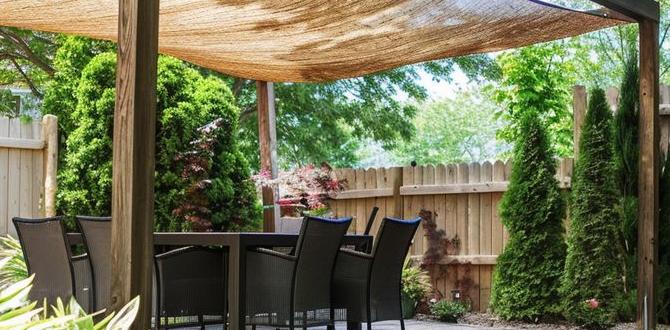outdoor shade ideas for patio outdoor shade ideas for patio