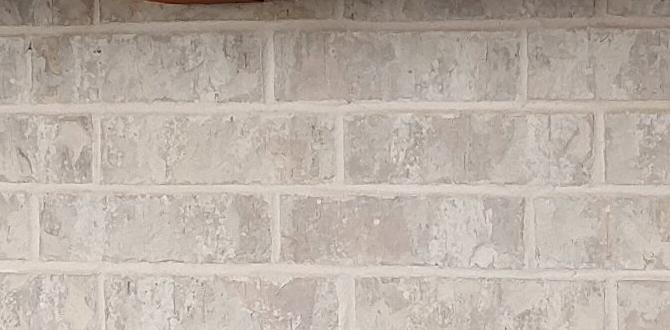outdoor shelf for patio