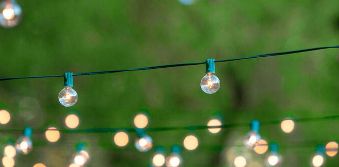 outdoor solar string lights for patio outdoor solar string lights for patio