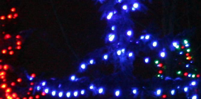 outdoor spotlights for christmas outdoor spotlights for christmas