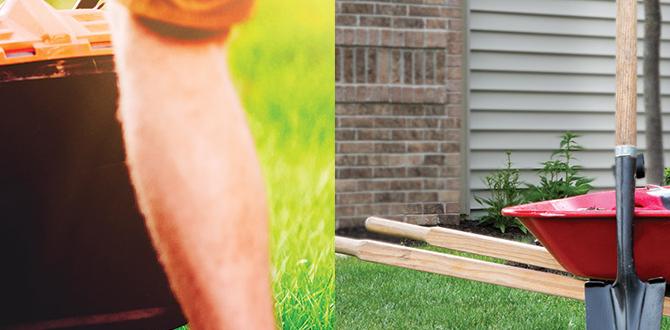 outdoor spring activities for outdoor spring activities for