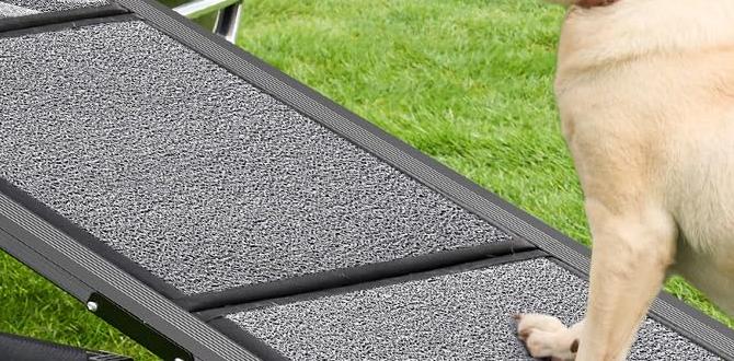 outdoor stair ramp for dogs outdoor stair ramp for dogs