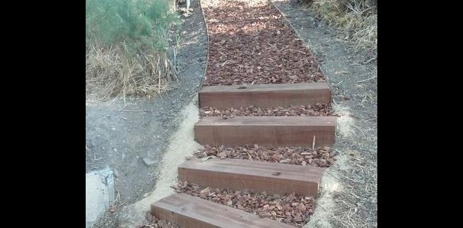 outdoor stairs for hillside outdoor stairs for hillside