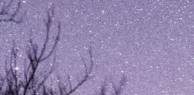 outdoor stars for trees