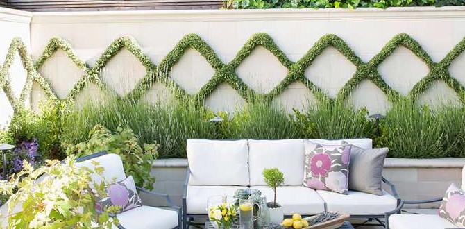 outdoor walls for patio outdoor walls for patio