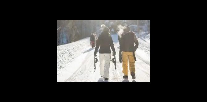 outdoor winter activities for adults outdoor winter activities for adults