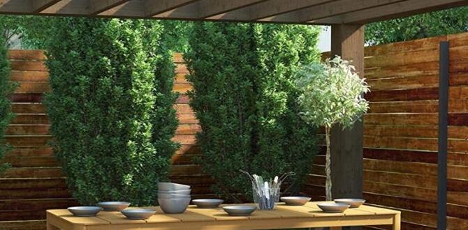 outdoor wood dining table for 8 outdoor wood dining table for 8