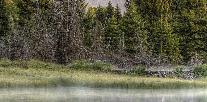 outdoors gifts for men outdoors gifts for men