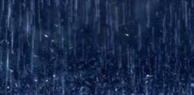 rain friendly rental for an outdoor wedding nyt rain friendly rental for an outdoor wedding nyt